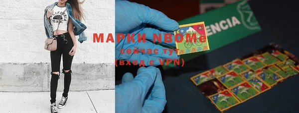 гидра Алексеевка