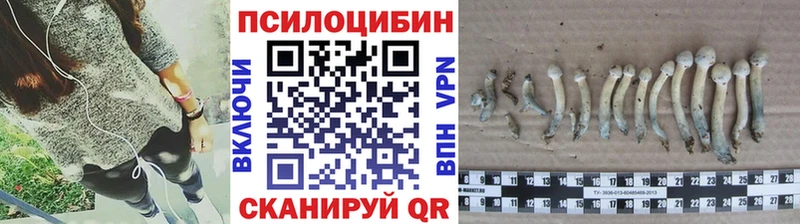 Псилоцибиновые грибы прущие грибы  Канаш 